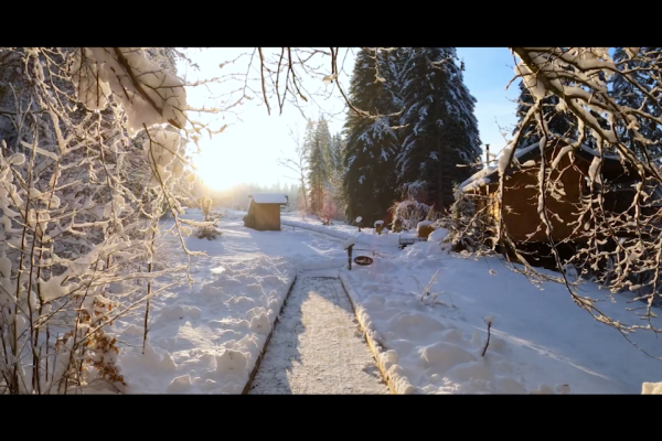 Cabanes dans les arbres